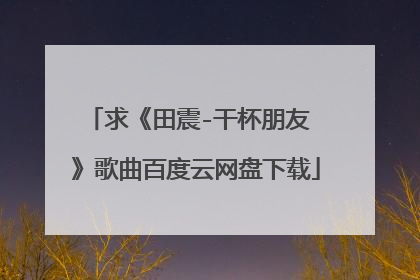 求《田震-干杯朋友 》歌曲百度云网盘下载