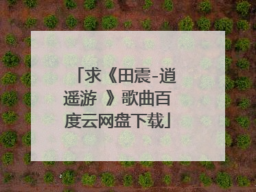 求《田震-逍遥游 》歌曲百度云网盘下载