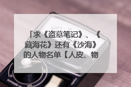 求《盗墓笔记》、《藏海花》还有《沙海》的人物名单【人皮、物皮、幼皮】谢谢~