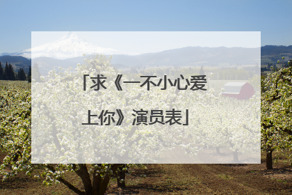 求《一不小心爱上你》演员表