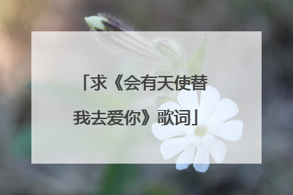 求《会有天使替我去爱你》歌词