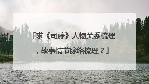求《司藤》人物关系梳理，故事情节脉络梳理？
