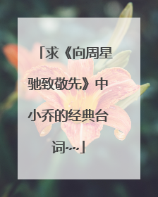 求《向周星驰致敬先》中小乔的经典台词~~