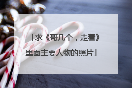 求《哥几个,走着》里面主要人物的照片
