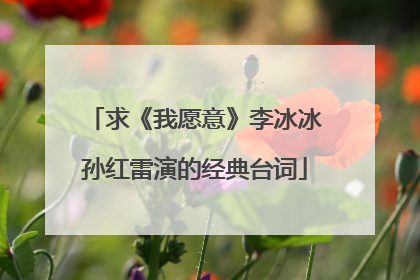 求《我愿意》李冰冰孙红雷演的经典台词