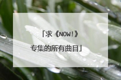 求《NOW!》专集的所有曲目