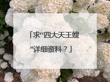 求“四大天王嫂”详细资料？