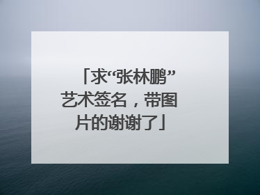 求“张林鹏”艺术签名,带图片的谢谢了