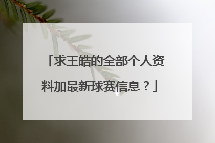 求王皓的全部个人资料加最新球赛信息?