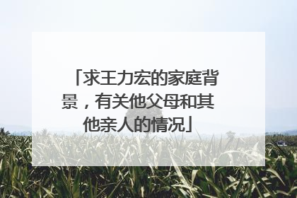 求王力宏的家庭背景,有关他父母和其他亲人的情况