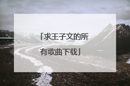 求王子文的所有歌曲下载