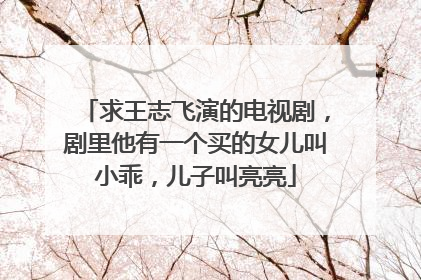 求王志飞演的电视剧，剧里他有一个买的女儿叫小乖，儿子叫亮亮