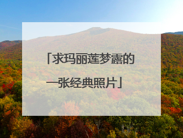 求玛丽莲梦露的一张经典照片