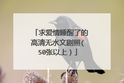 求爱情睡醒了的高清无水文剧照(50张以上）