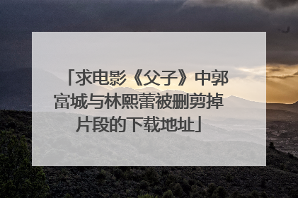 求电影《父子》中郭富城与林熙蕾被删剪掉片段的下载地址
