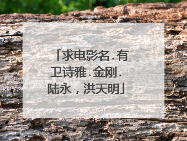 求电影名.有卫诗雅.金刚.陆永，洪天明