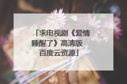 求电视剧《爱情睡醒了》高清版 百度云资源