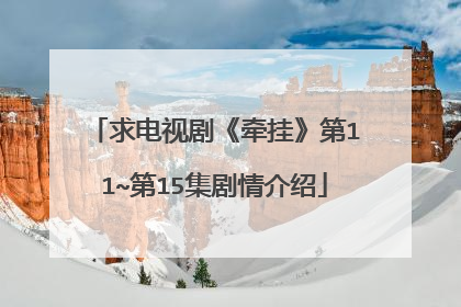 求电视剧《牵挂》第11~第15集剧情介绍