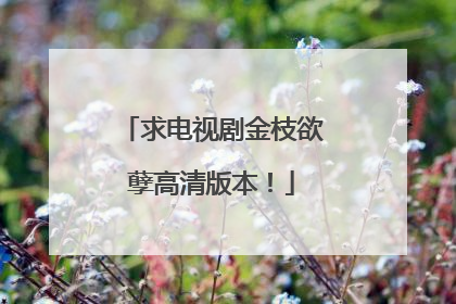 求电视剧金枝欲孽高清版本!