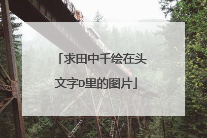 求田中千绘在头文字D里的图片