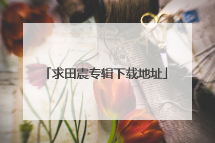 求田震专辑下载地址