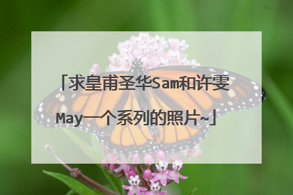 求皇甫圣华Sam和许雯May一个系列的照片~