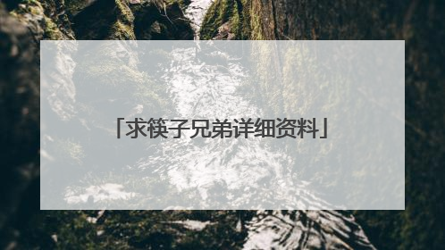 求筷子兄弟详细资料