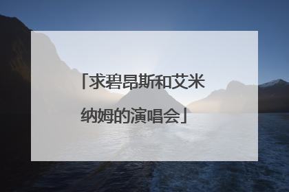 求碧昂斯和艾米纳姆的演唱会