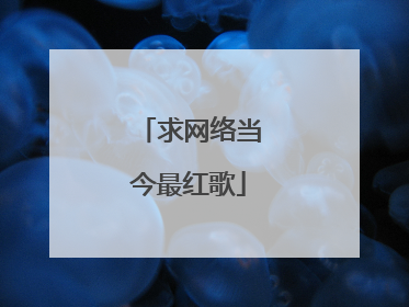 求网络当今最红歌