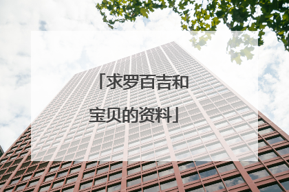 求罗百吉和宝贝的资料