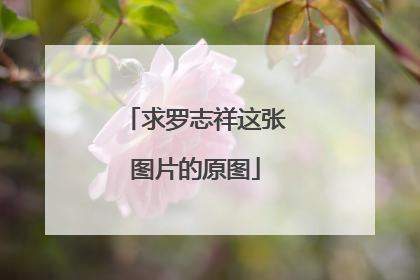 求罗志祥这张图片的原图