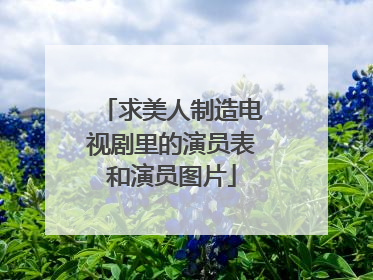 求美人制造电视剧里的演员表和演员图片