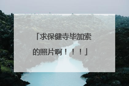 求保健寺毕加索的照片啊!!!