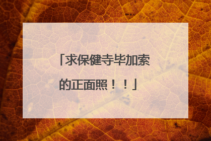 求保健寺毕加索的正面照!!