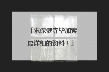 求保健寺毕加索最详细的资料！