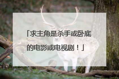 求主角是杀手或卧底的电影或电视剧！