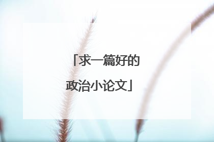 求一篇好的政治小论文
