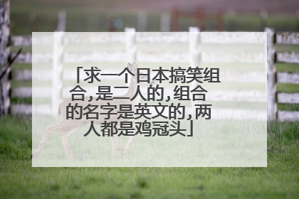 求一个日本搞笑组合,是二人的,组合的名字是英文的,两人都是鸡冠头