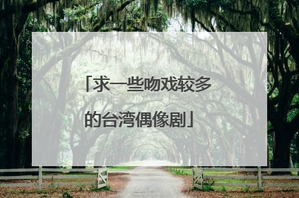 求一些吻戏较多的台湾偶像剧