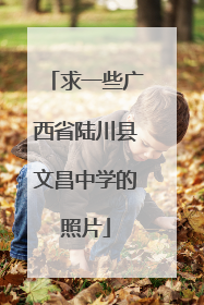 求一些广西省陆川县文昌中学的照片