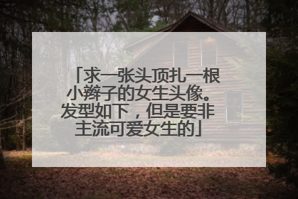 求一张头顶扎一根小辫子的女生头像。发型如下，但是要非主流可爱女生的