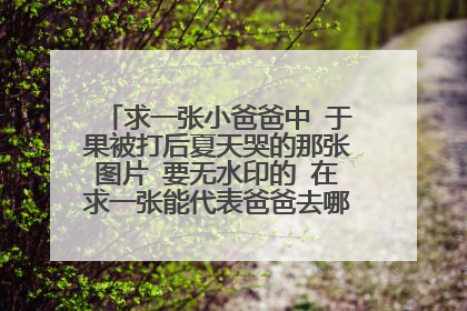 求一张小爸爸中 于果被打后夏天哭的那张图片 要无水印的 在求一张能代表爸爸去哪的照片越形象越好