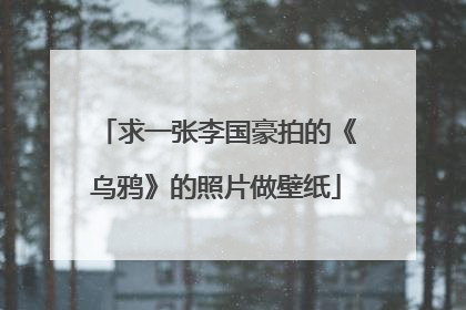 求一张李国豪拍的《乌鸦》的照片做壁纸