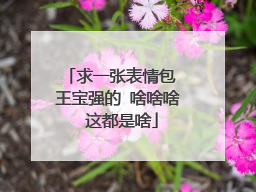 求一张表情包 王宝强的 啥啥啥 这都是啥