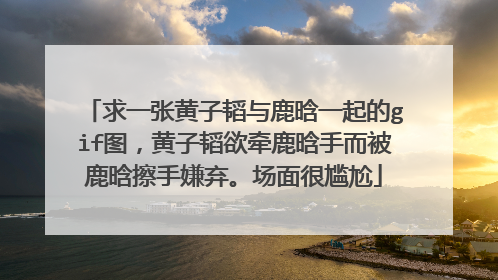 求一张黄子韬与鹿晗一起的gif图，黄子韬欲牵鹿晗手而被鹿晗擦手嫌弃。场面很尴尬