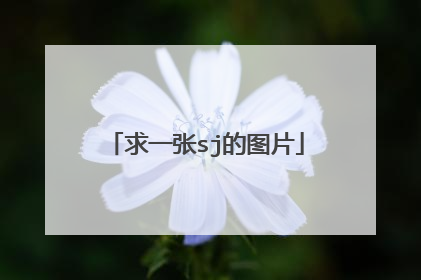 求一张sj的图片