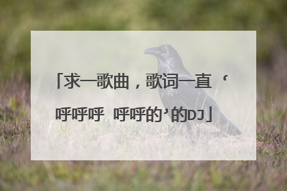 求一歌曲，歌词一直 ‘呼呼呼 呼呼的’的DJ