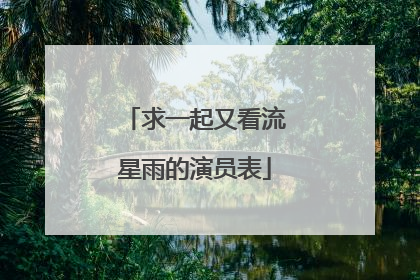 求一起又看流星雨的演员表