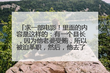 求一部电影！里面的内容是这样的：有一个县长，因为他老婆受贿，所以被迫革职，然后，他去了一个村，好像