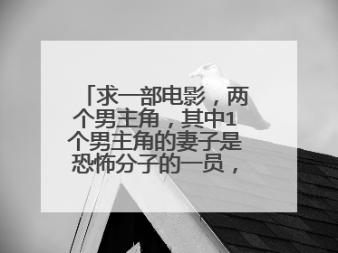 求一部电影，两个男主角，其中1个男主角的妻子是恐怖分子的一员，电影最后一幕是两个人在飞机地下下棋